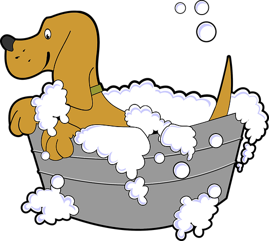 Dog Stickers 2 - 2018 messages sticker-4