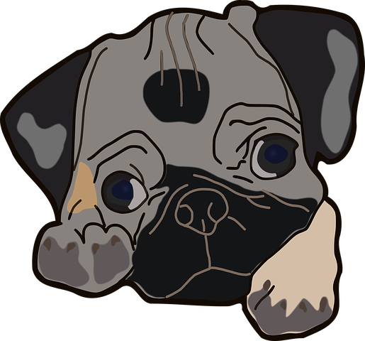 Dog Stickers 2 - 2018 messages sticker-11