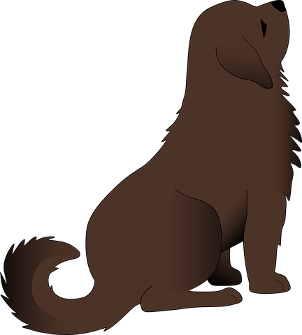 Dog Stickers 2 - 2018 messages sticker-1