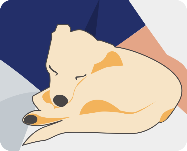 Dog-狗狗 messages sticker-7
