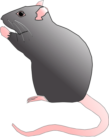 Rat N Mouse Stickers messages sticker-3