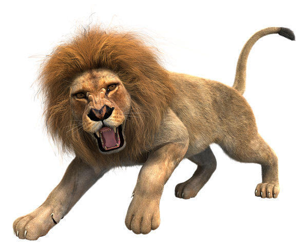 Lion Stickers - Sid Y messages sticker-1