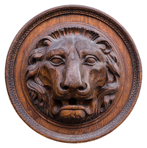 Lion Stickers - Sid Y messages sticker-9