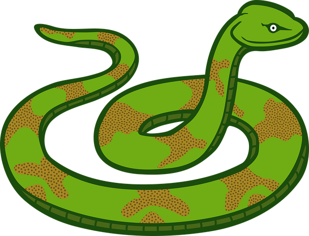 Snake Stickers - 2018 messages sticker-8