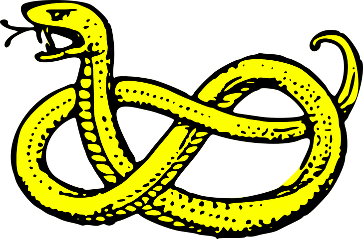Snake Stickers - 2018 messages sticker-9