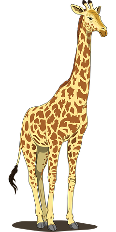 Giraffe Stickers - 2018 messages sticker-3
