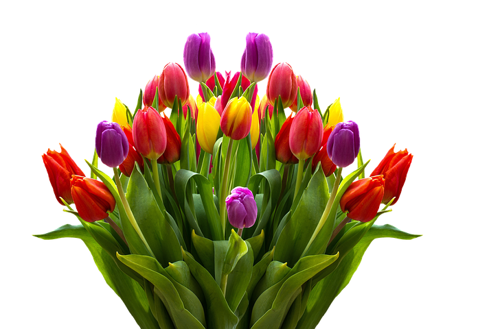 Spring Stickers - 2018 messages sticker-1