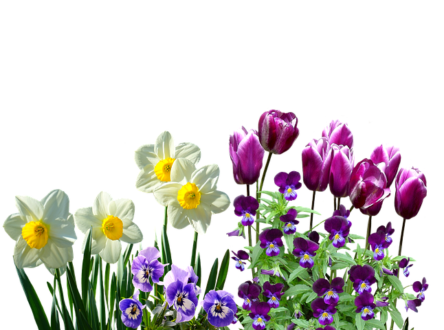 Spring Stickers - Sid Y messages sticker-2