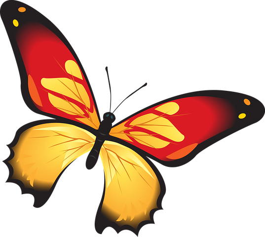 Butterfly Stickers - 2018 messages sticker-6