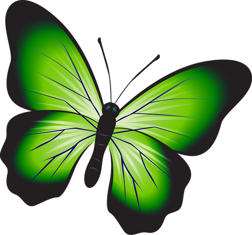 Butterfly Stickers - 2018 messages sticker-2