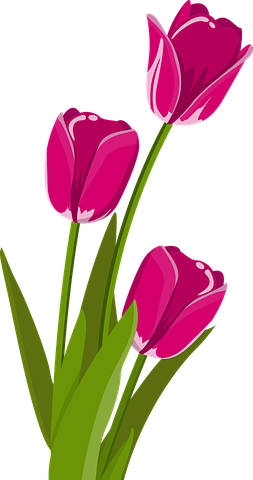Flower Stickers - 2018 messages sticker-0