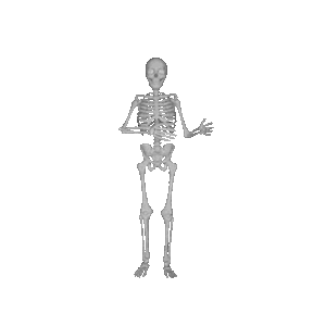 Skeleton Party messages sticker-0