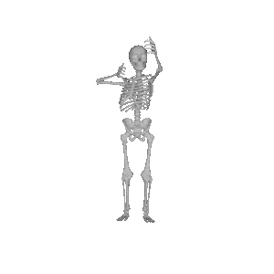 Skeleton Party messages sticker-10