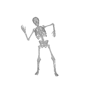 Skeleton Party messages sticker-6