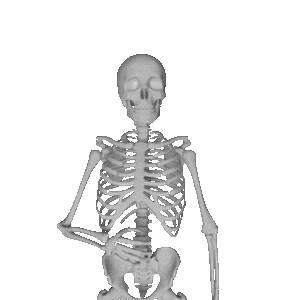 Skeleton Party messages sticker-8