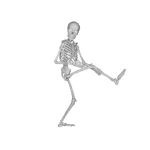 Skeleton Party messages sticker-5