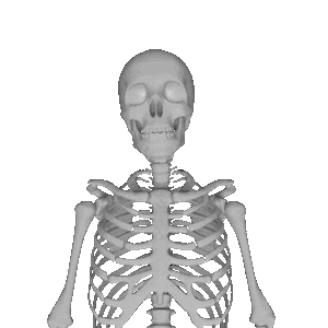 Skeleton Party messages sticker-7