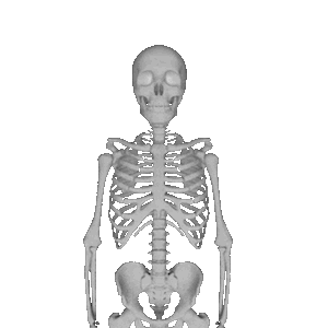 Skeleton Party messages sticker-2