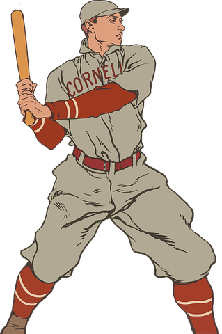 Baseball Stickers - 2018 messages sticker-8