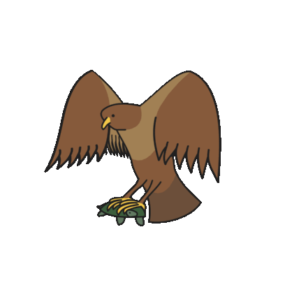 Birds of Play–Animated! messages sticker-1