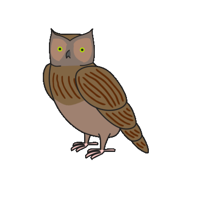 Birds of Play–Animated! messages sticker-4