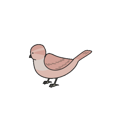 Birds of Play–Animated! messages sticker-7
