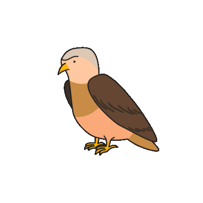 Birds of Play–Animated! messages sticker-2