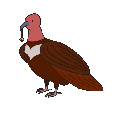Birds of Play–Animated! messages sticker-8