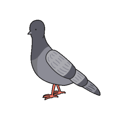 Birds of Play–Animated! messages sticker-6
