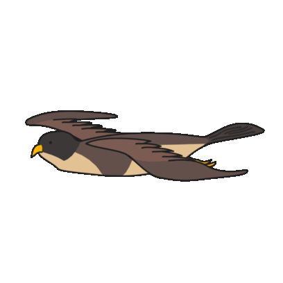 Birds of Play–Animated! messages sticker-5