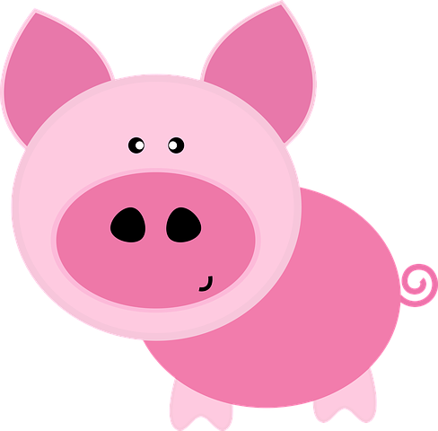 Pig Stickers - Sid Y messages sticker-5