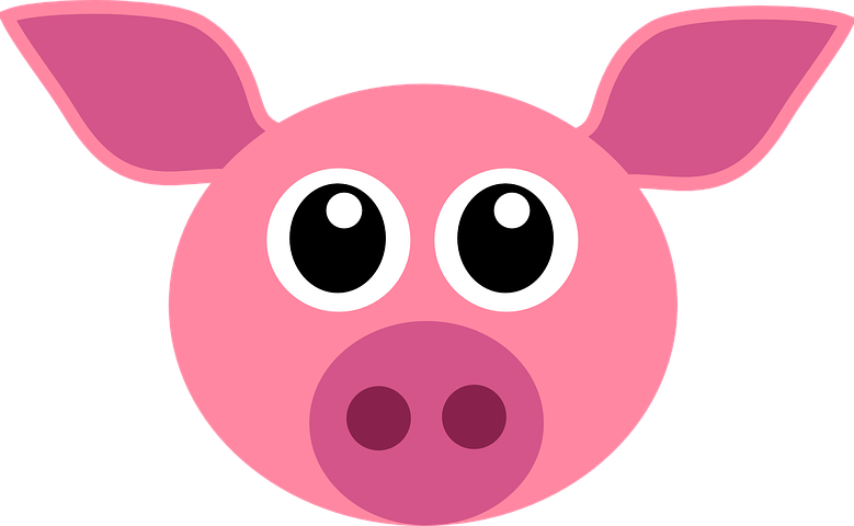 Pig Stickers - Sid Y messages sticker-1