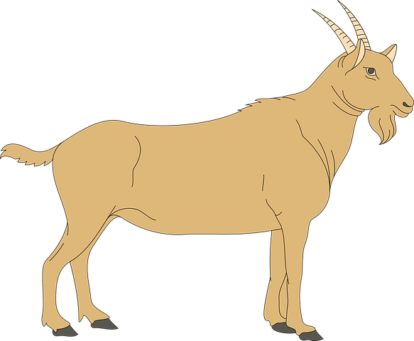 Goat Stickers - 2018 messages sticker-10