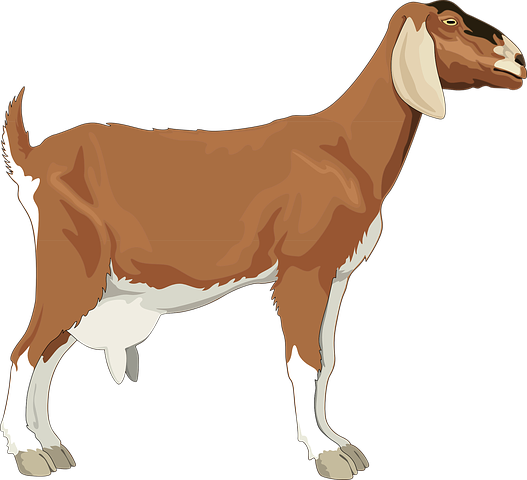 Goat Stickers - Sid Y messages sticker-7