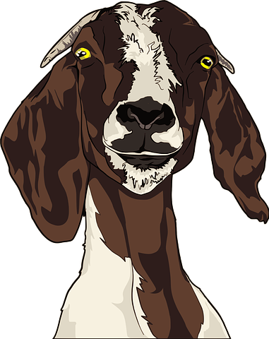 Goat Stickers - Sid Y messages sticker-9