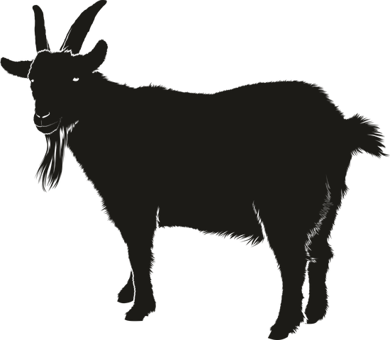 Goat Stickers - Sid Y messages sticker-4