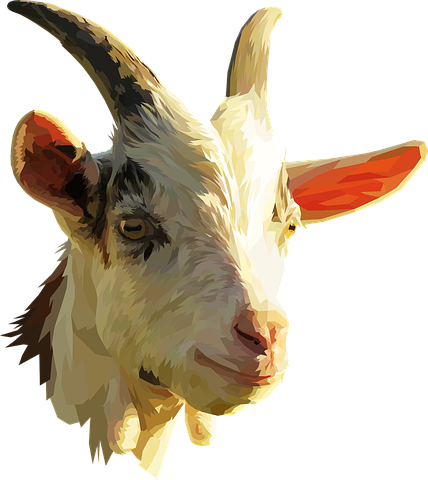 Goat Stickers - Sid Y messages sticker-1