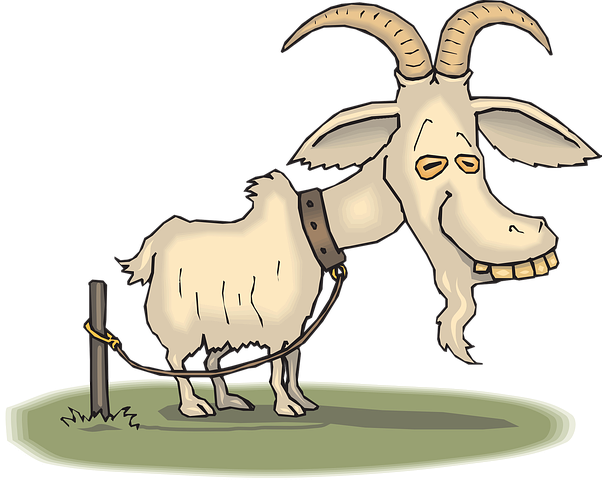 Goat Stickers - Sid Y messages sticker-11