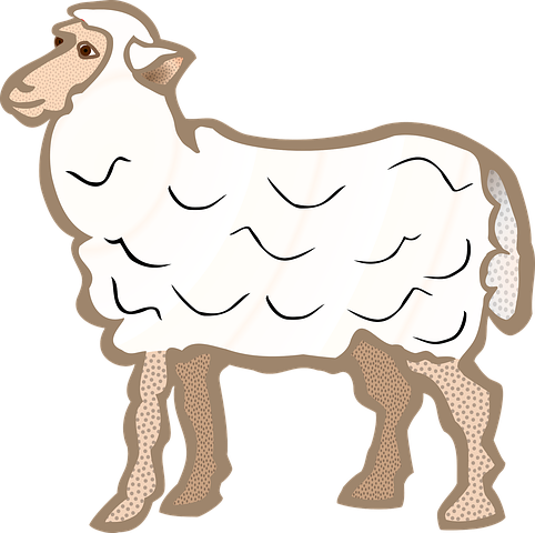 Sheep Stickers - Sid Y messages sticker-6