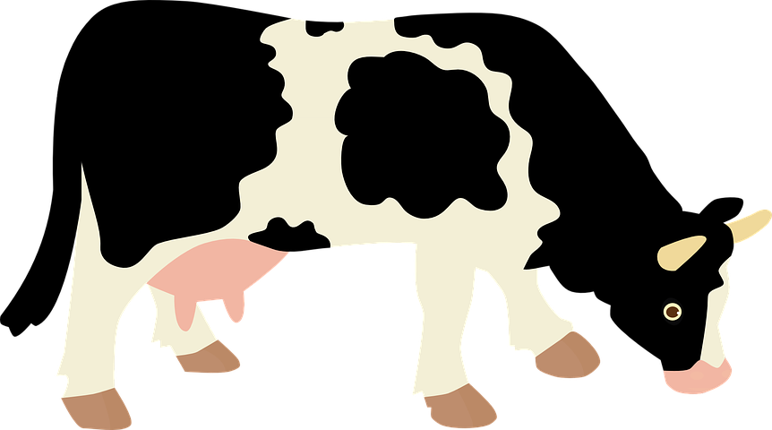 Cow Stickers - 2018 messages sticker-4
