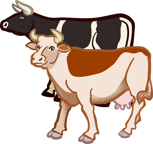 Cow Stickers - 2018 messages sticker-10