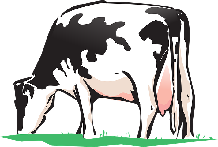 Cow Stickers - 2018 messages sticker-1