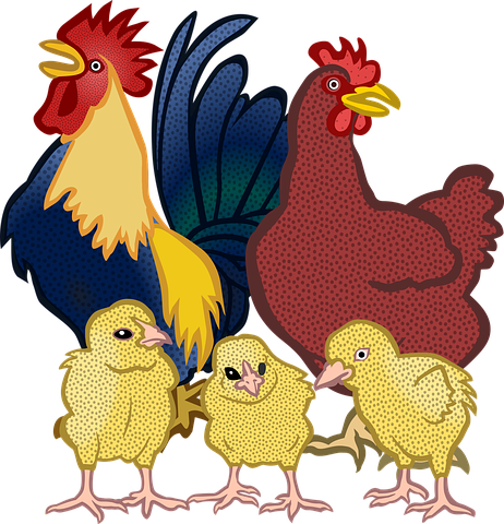 Chicken N Turkey Stickers messages sticker-11