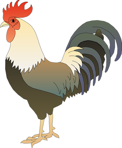 Chicken N Turkey Stickers messages sticker-6