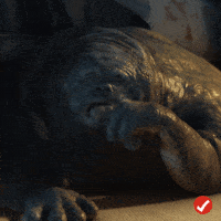 Gif Stickers Pro messages sticker-10