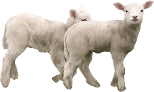 AnimalMoji Stickers messages sticker-9