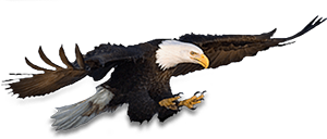 AnimalMoji Stickers messages sticker-2