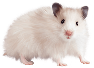 AnimalMoji Stickers messages sticker-8
