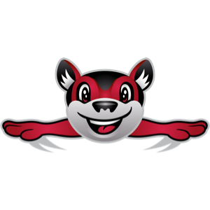 Flying Squirrels Emoji messages sticker-3