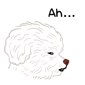 Yallet the bichon (taster) messages sticker-0
